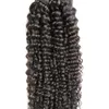 100st Brasilianska Kinky Curly Keratin Tips Människans hårförlängning 1g / s Curly Keratin U TIPS Hair Extensions 100g Remy Fusion Hair Extensions