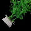 Fish tank Decoration Green Artificial Plastic Plant Grass Ornament Decor Accessories Underwater Fish Aquarium Landscape Decorative Plants