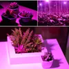 LED成長ライト30W 50W 80WフルスペクトルLEDの植物栽培ランプE27 LED園芸園芸園の光栽培水耕耕栽培システム