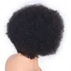 Afro kinky lockigt mänskligt hår peruk för svarta kvinnor korta brasilianska spetsar front peruker naturligt färg remy hår 8 tum9388707