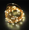 10 M 100LED Copper Wire Lamp 12V1A Zasilacz Wodoodporna Kolorful Wnętrze Światło Dekoracji Wnętrz Na Boże Narodzenie