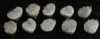 Dingsheng Natural White Crystal Nunatak Amethyst Ore Tortoise Faturine مع مجموعة drusy لتنقية الشفاء 5516346