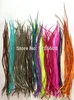 10 pièces postiche de qualité supérieure 14 couleurs disponibles paquet mince grizzly coq plumes extensions de cheveux accessoires de cheveux de mode