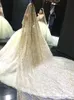 2019 newest Vintage champagne gold star shining veil long tail wedding bride luxury wedding dress Veils In Stock4332972