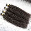 U Tips Pre Bonded Fusion Hair Extensions Curly Brazilian Remy Human Hair On Capsule 200g Strands U Tips 18 "20" 22 "24"