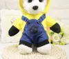 Vestiti per cani di piccola taglia Minions Cartoon Cute Felpa con cappuccio Pet Novità Costume Cuccioli Vestiti per cani Gatti Inverno Autunno Cappotto caldo