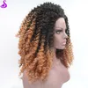 Ombre Brown Wig Short Afro Kinky Curly Syntetic Lace Front Wig Gluslös Värmebeständig Naturlig Hår Paryk för Svarta Kvinnor 180 Densitet