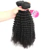 8a Brazylijskie kręcone włosy 3 Pakiety nieprzetworzone dziewicze Afro Kinkys Curly Human Hair Extensywność Naturalna kolor 16313854217223