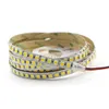 5M LED Strip 5050 60ledsm 120LEDsm Flexible LED Stripe tape string Lighting RGB Warm white DC 12V 24V 5050 high brightness7054683