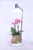 WOXIU LED 스펙트럼 식물 성장 테이블 램프 Potted 건강한 성장 필 라이트 효과 실내 홈 인테리어 샵 사무실 장식 식물 테이블 램프