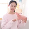 25cm kawaii 만화 돼지 플러시 장난감 박제 동물 장난감 소프트 핑크 돼지 베개 홈 소파 장식 LA060