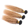 Aardbei Blonde Dark Root Kinky Krullend Haarverlenging Afro Kinky Menselijk Haar Weefsels Braziliaanse Maagd Haar Weeft 3pcs / lot