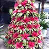 100 Stücke Seltene Bromelie Samen Gemüse und Obst Garten Sukkulenten Mini Kaktus Töpfe Günstige Bonsai Balkon Blumensamen