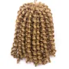 Beautful Extensions Ombre 8 '' Marlybob Crochet Braids 3pcs Kinky Curly Twist Syntetic Hairs Braiding Hair
