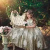 Sparkly Golden Sequine Pageant платье кружева аппликация рукавов бальное платье малышей День рождения платья Прекрасные платья девушки цветка для венчаний