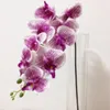 Silk Orchids 100 CM / 39.37 "Długie sztuczne kwiaty Pojedyncze Vanda Phalaenopsis Oncidium na Xmas Party Wedding Home Decoration