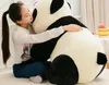 Gigantische schattige panda knuffel dikke panda poppen simulatie knuffel beer kussen pop voor kinderen volwassenen cadeau 37 inch 95cm dy50449