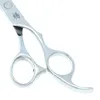 70quot Yang Handle Hair Cutting Scissors Stainless Steel Pet Gromming Straight Blade Shears Dog Cut Hair Scissors Salon Barber 4765789