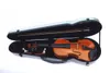 Violin Case 4/4 Full Size Gemengde Koolstofvezel Sterk Licht Hard Case Hard Shell Triangle Case