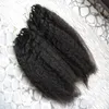 Kinky Straigh Micro Ring Hair Extensions 1g / Strand 200g Micro Loop Extensions Grova Yaki Mänskliga hår Mikroslänk Mänskliga hårförlängningar