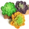 20PC Małe Sztuczne Soczyste Rośliny Lotus Krajobraz Kwiat Różne Dekoracyjne Mini Zielone Rośliny Strona główna Garden Garden Orangement Decor