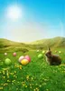 Frohe Ostern Fotografie-Hintergründe, blauer Himmel, bedruckte Kanincheneier, grünes Grasland, gelbe Blumen, Baby- und Kinder-Fotoshooting-Hintergründe
