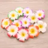 Hela 3 5 tum Hawaiian Plumeria Flower Hair Clip Foam Hair Accessory Decoration 12st Lot 258V