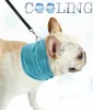 IJskoeling handdoek bandana voor huisdier hond kat sjaal zomer ademend koelhanddoek wrap blauwe bogen accessoires in retail tas pack