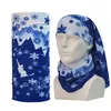 Custom Multi-Function Polyester Buff Sports Head Scarf Moisture Wicking Snabbtorkning Utomhus Seamless Magic Bandana Partihandel