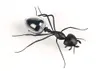 BIG Solar Ant Popular Kids Toys Magic Solar Powered Ant Insect Play & Learn Educational Solar Novelty Toys for Children with OPP bag