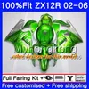 Injektion för Kawasaki ZX1200 ZX 12R 2002 2003 2004 2005 2006 224HM.29 ZX-12R 12 R 1200cc ZX12R 02 03 04 05 06 Glansig grön fairing