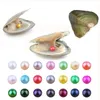 New Akoya High quality cheap love freshwater shell pearl oyster 6-7mm red gray light blue pearl oyster with vacuum packaging A-1008