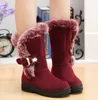 Snow Boots Botas femininas Ankle for Women Fashion Lady Boots Winter Zapatos Mujer Shoes Women's Winter Short plush Boots