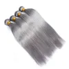 Elibess Har- Straight European Hair Pure Gray Human Hair 4 buntar 50g / st 10-28 tum med dhl frakt