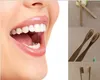 Dempossible återanvändning Tandborste personlig bambu tandborstar tungrengörare Denture Teeth Travel Kit Tooth Brush DHL5911766