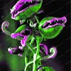 Венера ловушка ловушки плотоядных растений Dionaea muscipula cordyceps flycatcher semillas de flores raras для домашнего сада 50 Pcs255v