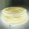 100M 110V 220V شرائط LED SMD 2835 LED ROPE LIGHT IP67 Flex LED Strip Lights في الهواء الطلق سلسلة Disco Bar Pub