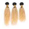 Kinky Curly # 1B / 613 Blonde Ombre Vierge Brésilienne Cheveux Weave Bundles Deux Tons Ombre Blonde Extensions de Cheveux Humains Afro Kinky Curly