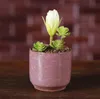 Gelo Crack Vasos de Flores Suculentas Jardim Plantas Pote Mini Polegar Secretária Escritório Vasos de Cerâmica de Alta Qualidade SN1285