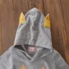 Bebek Boys Çocuk INS Fox Baskılı Kapüşonlular Seti Çocuklar Sonbahar Uzun Kollu Hoodie + pantolon Kıyafetler Çocuk Casual Suit Giyim 2 adet belirler