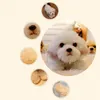 cute soft animal maltese dog plush toy mini stuffed lying animals pet dogs doll baby gift car decoration 35x12x14cm DY501382837025