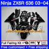 Body green new For KAWASAKI ZX-636 ZX600 ZX636 ZX-6R 03 04 211HM.21 hot white ZX 636 6 R 600CC ZX6R 03 04 ZX 6R 2003 2004 Fairings kit