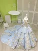 Sky Blue Ball Town Meisjes Pageant Jurken met Champagne Bloemen Kant Tiered Bloem Meisjesjurken voor Bruiloft Sweep Train Kids Prom Dress