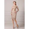 Sheath Column Jewel Neck Knee Length Lace Mother of the Bride Dress with Lace Sash Ribbon