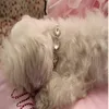 Bling rhinestone pérola colar de cachorro liga diamante filhote de cachorro animal de estimação colares de pequenos cães mascotas acessórios para cães