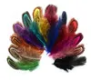 100pcs 6-10cm Pheasant Feather Tails Tail Feathers Fan For Craft Sewing Apparel Wedding Party Home Decoration