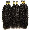 Mongolisches Afro-Haar, verworrenes lockiges Haar, Keratin-Stick-Tip-Haarverlängerungen, 300 g, vorgebundene I-Tip-Haarverlängerungskapseln, Human Fusion