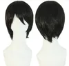 wigs hairpieces for men