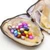 Party Surprise Gift 6-8mm Natural Fresh Oval Pearl in Oyster Shell 25 Mixed Colors, Vacuum Packaging Spot Wholesale (Free Shipping)