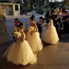 Elegante abito da ballo bianco Abiti da ragazza di fiori Sheer Neck Pizzo abiti da sposa per bambini pakistani Carino pizzo manica lunga Ragazze per bambini pagea214x